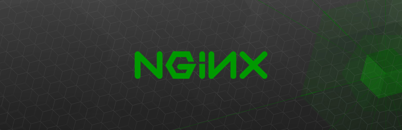 Nginx Cache By Till Krüss